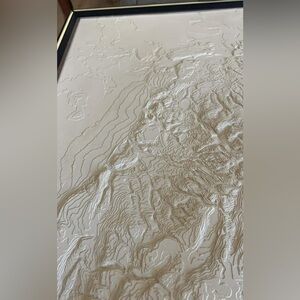 3D Textured Topographical Wall Art
